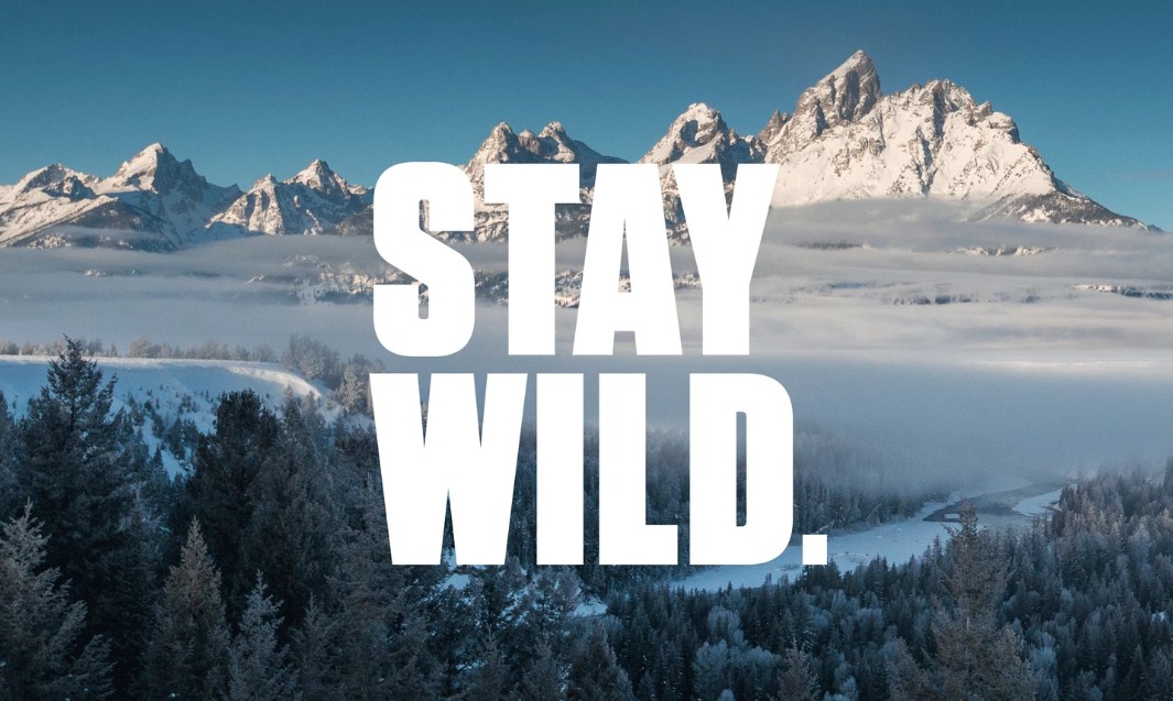 Jackson Hole, Charlie Chaplin’in sesi ile ilham veriyor