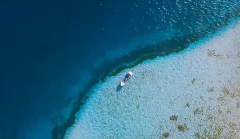 Albatros Airlines uçma duygusunun güzelliğini anlatıyor 3