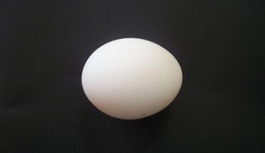 Basitlik yaratıcılığı kanatlandırır