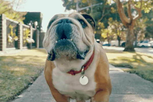 Schneider Electric yeni kampanyası ile ev sahiplerine sesleniyor