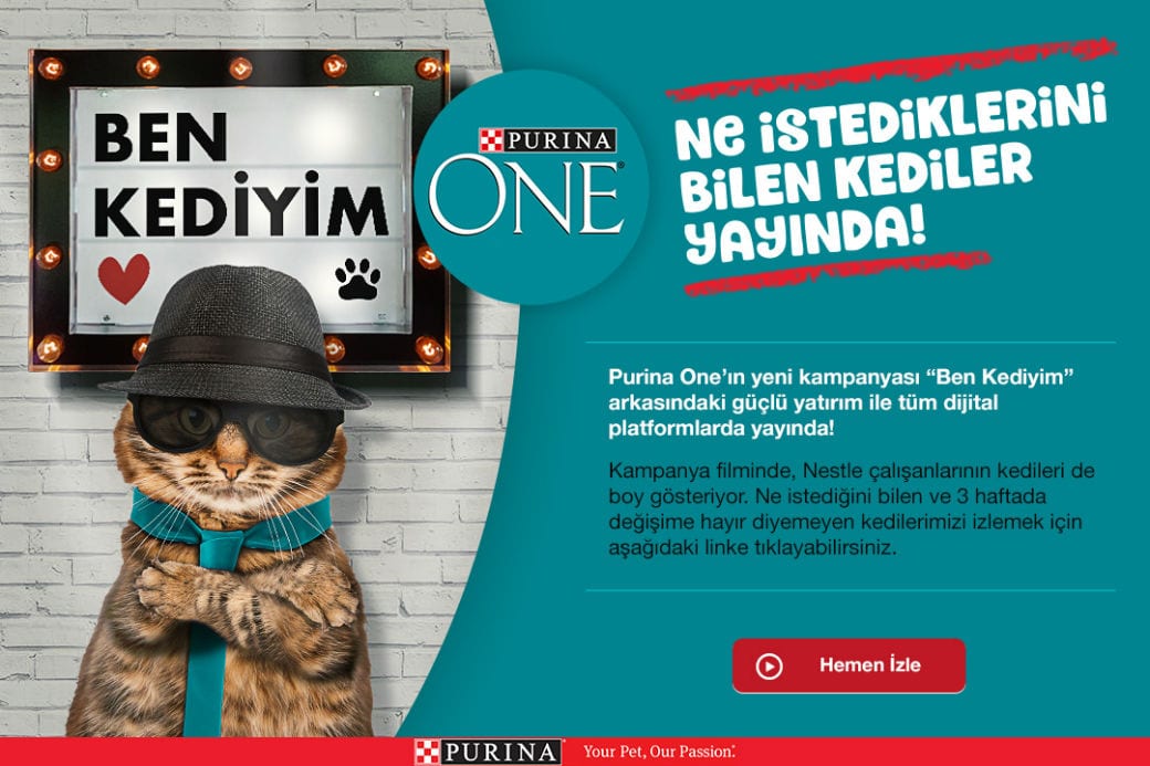 Ne istediğini bilen kediler Purina One'ı seçer-campaigntr
