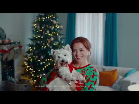 Cesar Noel'de köpek sahiplerini köpekleriyle bir örnek giydiriyor-campaigntr