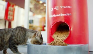 Yarını Kodlayanlar Projesi sokak hayvanlarını doyuruyor