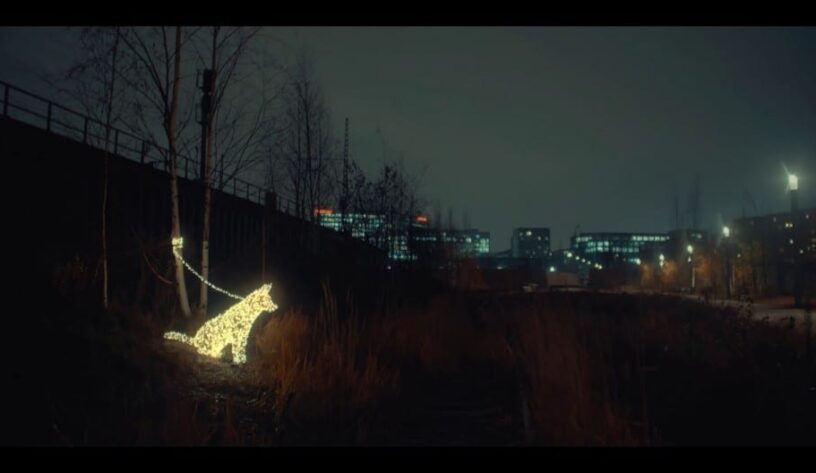 Peta yeni reklamında hayvanların Noel hediyesi olmadığını hatırlatıyor-campaigntr