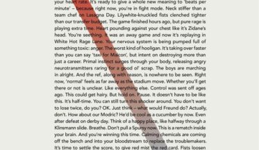 Kaybedilen derbi sonrası Tottenham taraftarlarına 90 saniyelik ilan