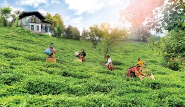 Her Dem Toprak İçin Projesi yeni çalışmaları ile devam ediyor-campaigntr