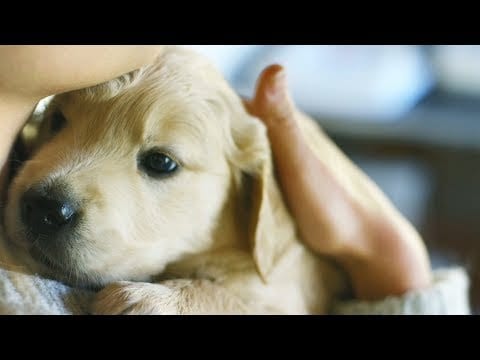 General Mobile Sevgililer Günü’ne özel video hazırladı-campaigntr