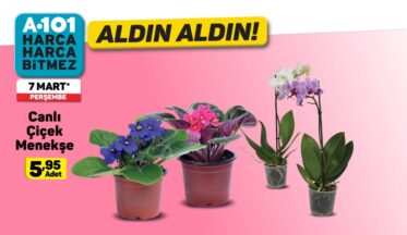 A101 sözü kadınlara veriyor-campaigntr