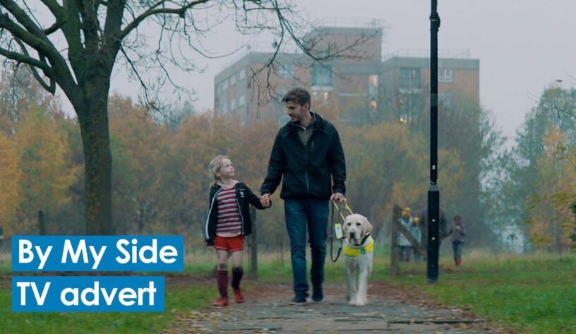 Guide Dogs farkındalığı artırmayı amaçlıyor-campaigntr