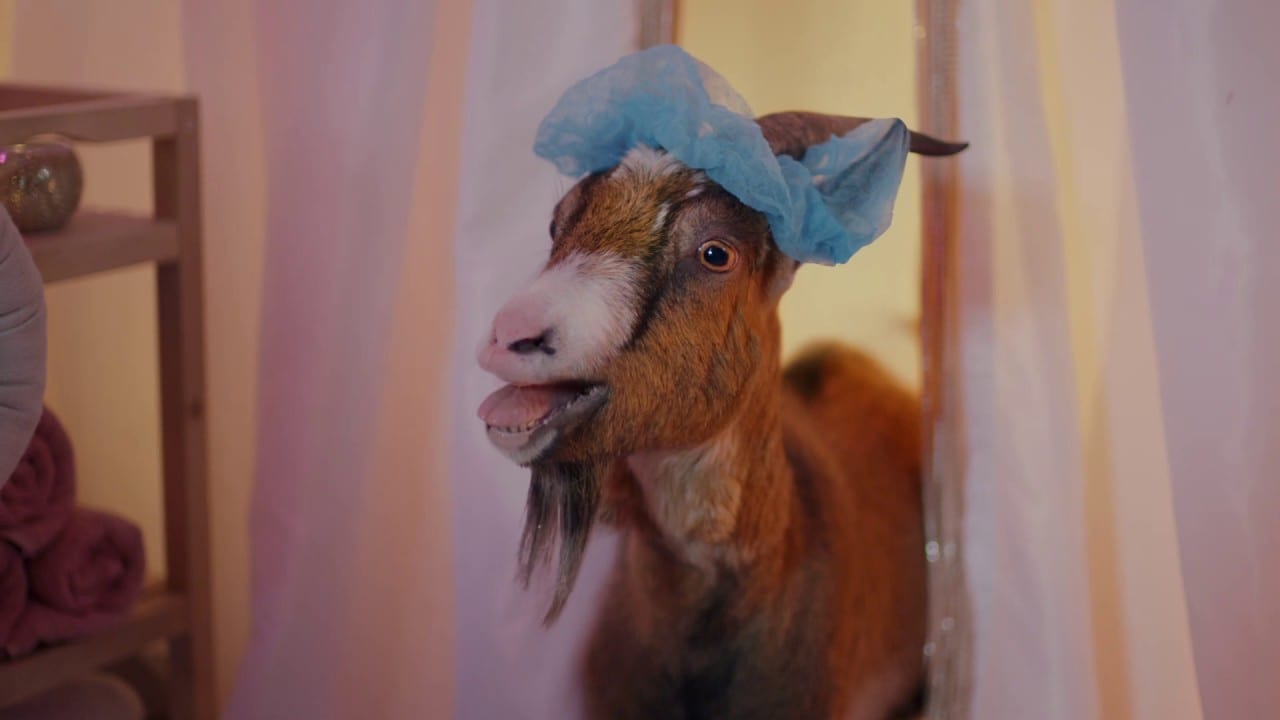 Jaffa Cakes Nibbles merak uyandırıyor-campaigntr