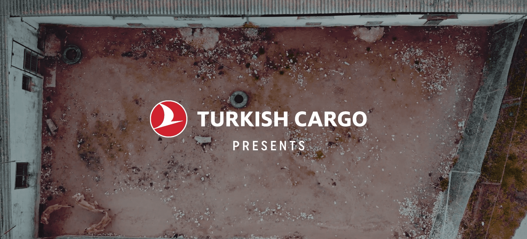 Turkish Cargo hayvan hakları için saygı duruşunda- campaigntr