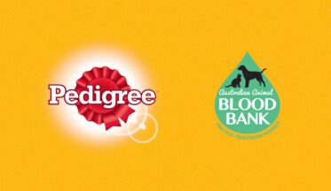 Pedigree köpek kan bağışına dikkat çekiyor-campaigntr