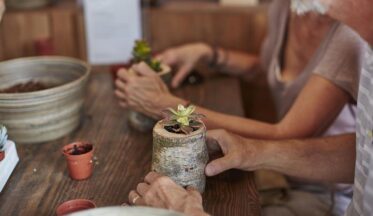 BMW i ve National Trust'tan sürdürülebilirlik atölyeleri-campaigntr