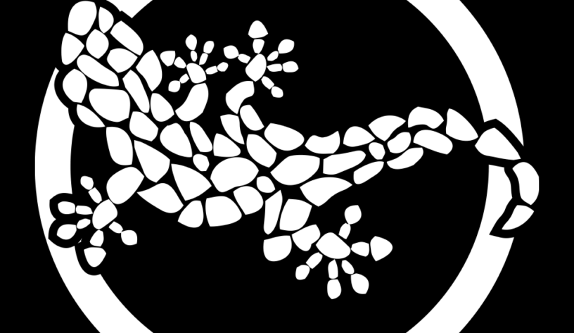 Panda reklam ajansını seçti-campaigntr