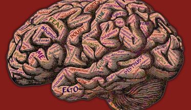 Algoritmaya karşı içgüdü-campaigntr