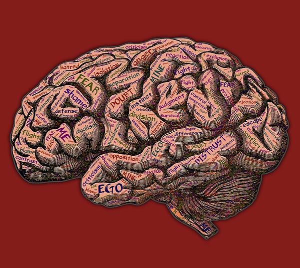 Algoritmaya karşı içgüdü-campaigntr