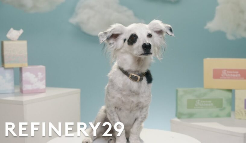 VCA'dan kalpleri ısıtan bir veteriner hikayesi-campaigntr