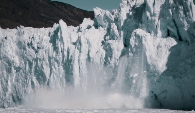 Sofia doğal ormanları koruyor-campaigntr