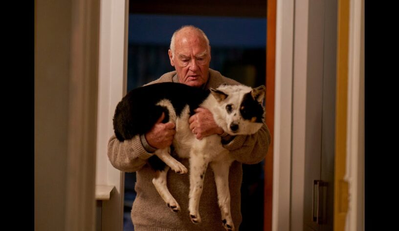 Vodafone 5G teknolojisi hayat kurtarıyor-campaigntr